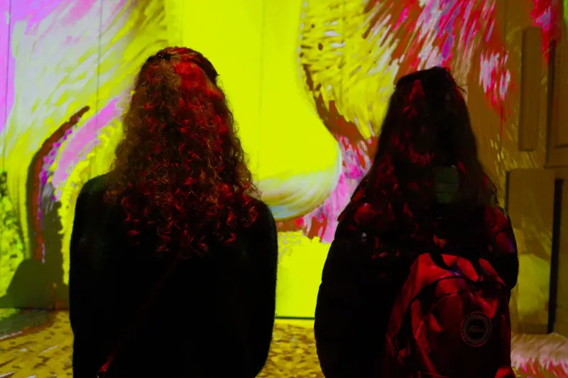 Designed for the Initiated: How Immersive Art Installations Leave First-Time Visitors Behind